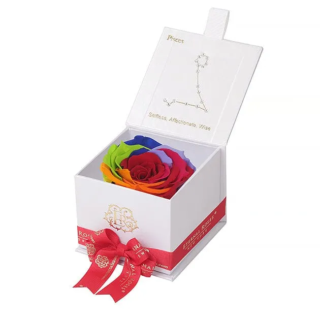 Astor White Gift Box in Rainbow ALL SIGNS - Image 7