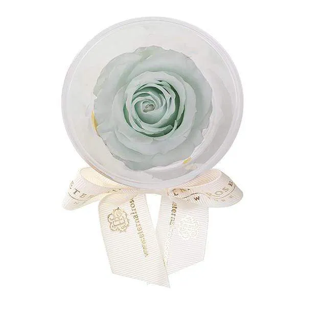 Mini Eternal Rose Party Favor Set of 4 - Image 14