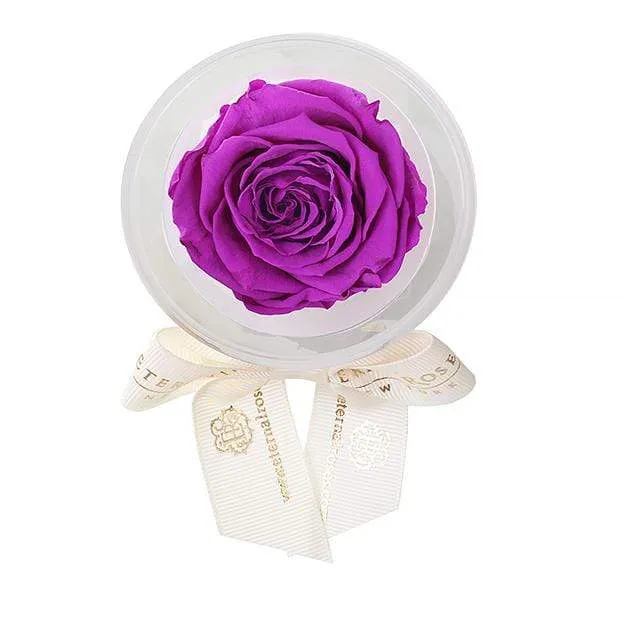 Mini Eternal Rose Party Favor Set of 4 - Image 15