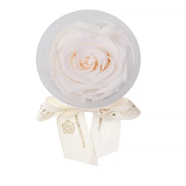 Mini Eternal Rose Party Favor Set of 4 - Image 18