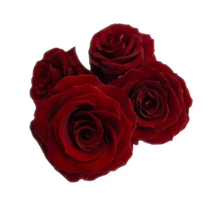 Mini Eternal Rose Party Favor Set of 4 - Image 3