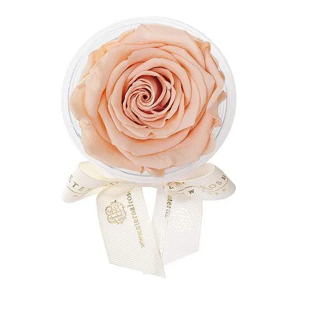 Eternal Rose Party Favor | Personalized Party Supplies - Image 40