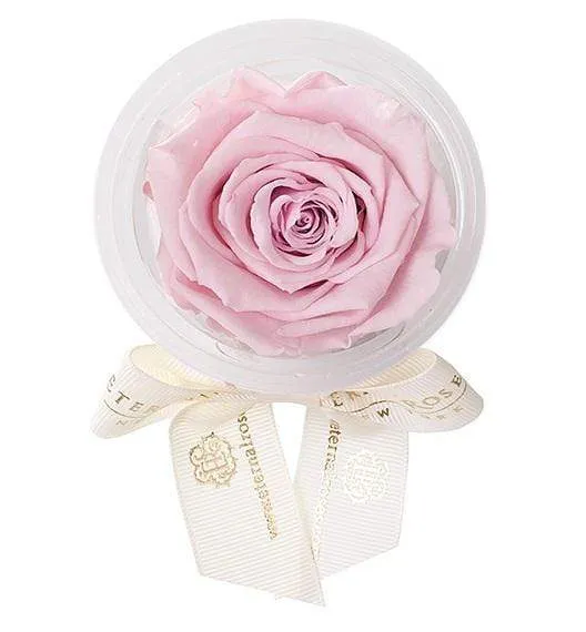 Eternal Rose Party Favor | Personalized Party Supplies - Image 9
