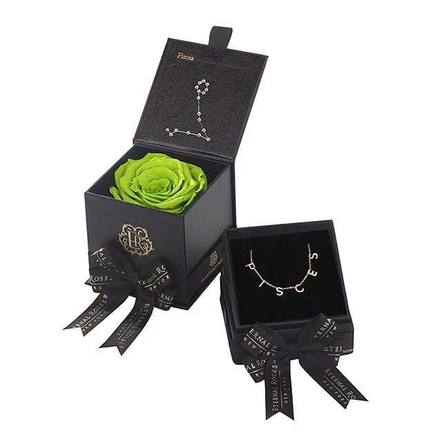 Pisces Astor Box & Necklace Bundle - Image 21